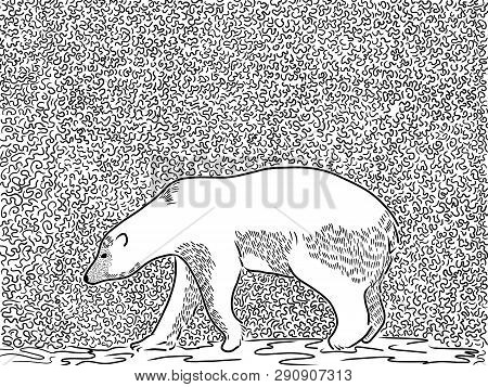 Raster Illustration Black And White Graphics Bear