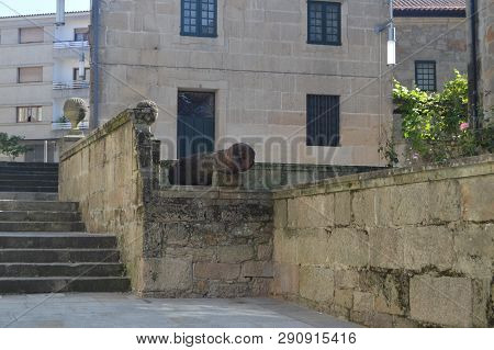 Nice Stairs Street Juan Novas Guillan Of Medieval Style With A Cannon On His Travel In Pontevedra. N
