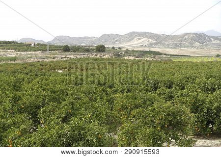Torremendo Landscape In Spain On An Overcast Day