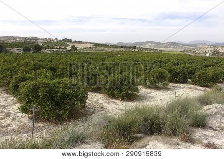 Torremendo Landscape In Spain On An Overcast Day