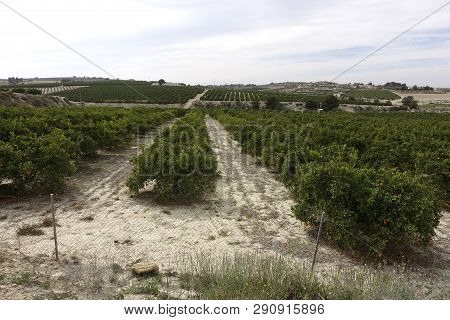 Torremendo Landscape In Spain On An Overcast Day