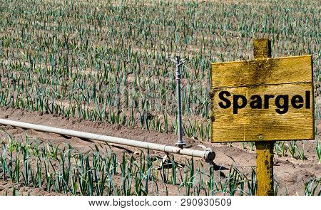 Wooden Sign On Field Asparagus German 