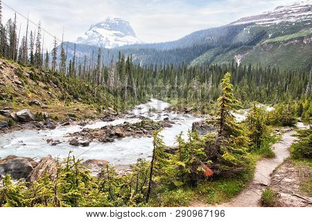 Glacier-fed Waters From Takakkaw Falls Flow Into Kicking Horse River Through Yoho National Park Near
