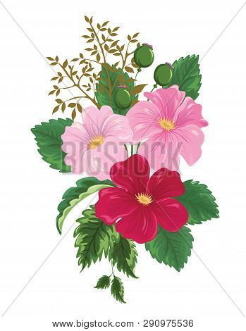 Flower Arrangement With Three Blooming Pink Flowers And Three Buds On A White Background.