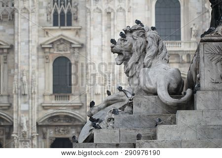 Group Of Pigeons On Lion Head Statue At Piazza Duomo Of Milano Italy, Dirty From Bird Pooping Shit O