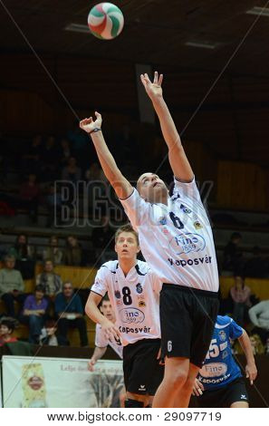 KAPOSVAR, Ungarn - 15 januar: Balint Magyar (R) i aktion på en ungarsk volleyball nationale Champ