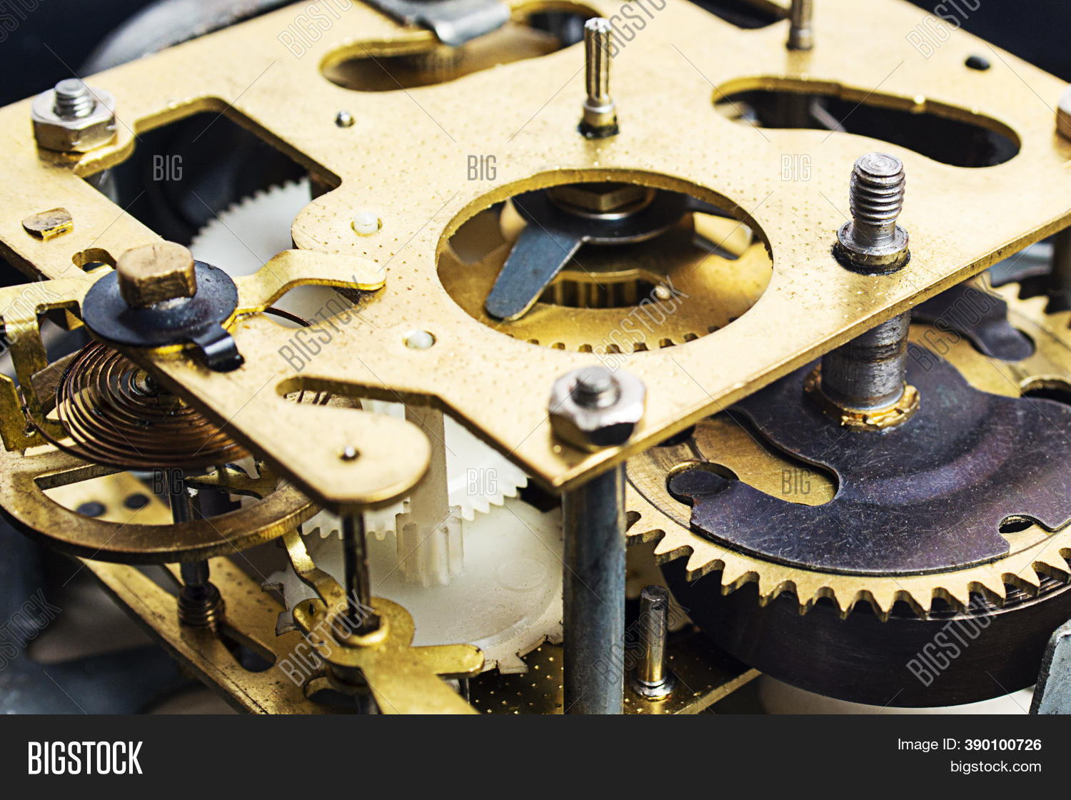 ภาพและภาพถ่าย (ทดลองใช้ฟรี) | Bigstock