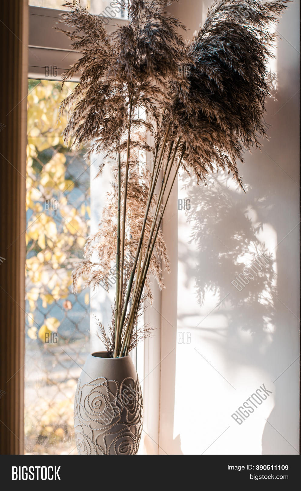 Dry Reeds Vase. Image & Photo (Free Trial) Bigstock