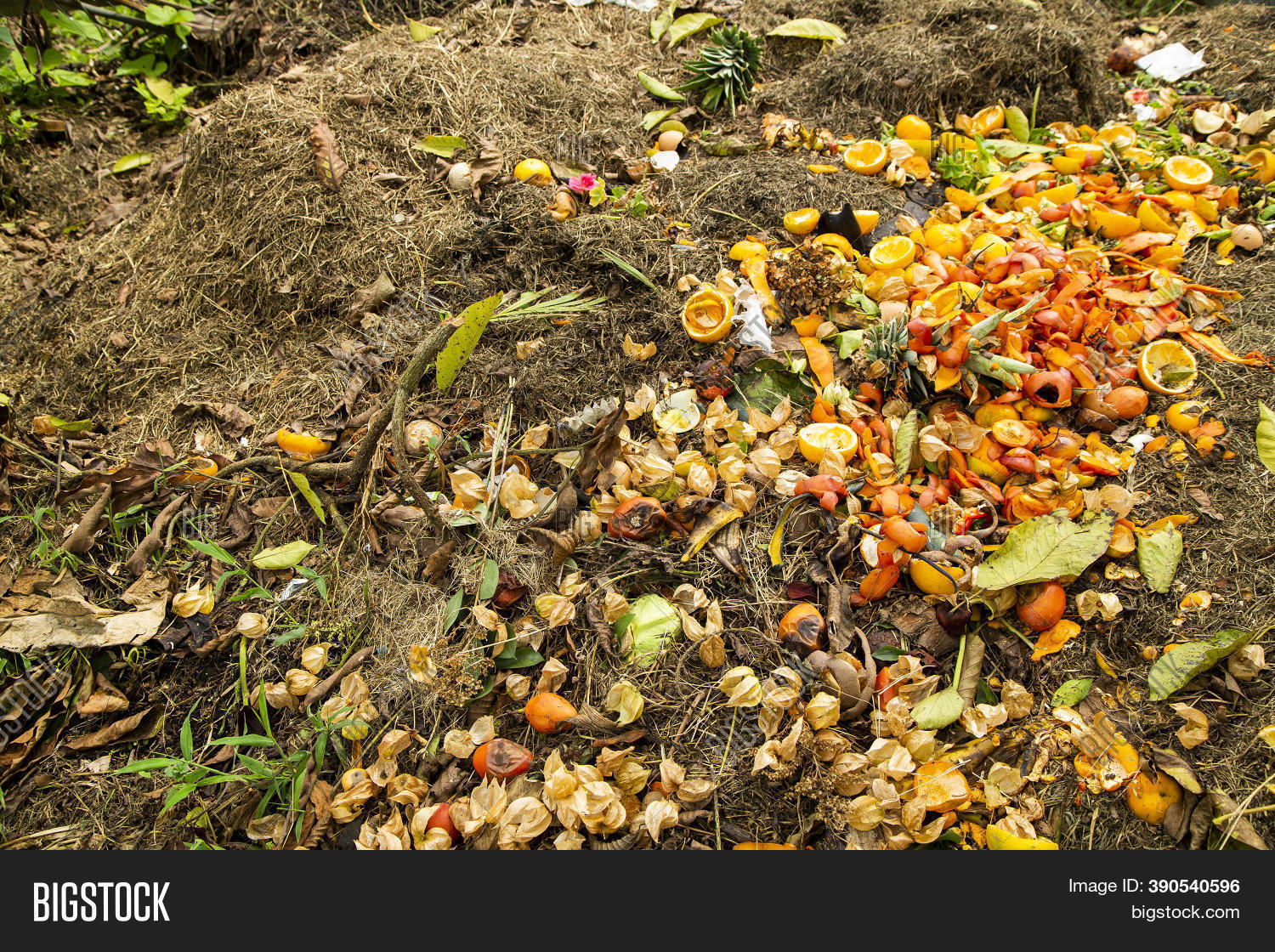 Natural Homemade Image & Photo (Free Trial) Bigstock