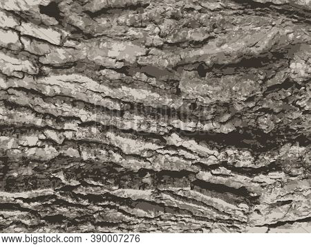 Tree Bark Texture.  Wooden Background. Vector Illustration