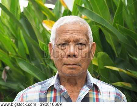 Portrait Of An Elderly Asian Man Looking At Camera While Standing In A Garden. Space For Text