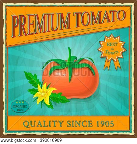 Retro Tomato Vintage Advertising Poster. Label Or Banner With Red Ripe Tomato Fruits, Green Leaves I