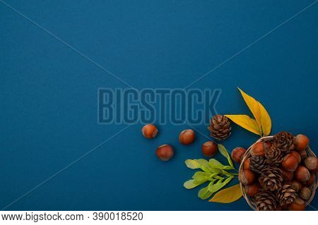 Autumn Composition Of Leaves, Nuts And Cones On A Blue Cold Background, Top View