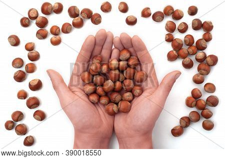 Nuts Are Scattered Around The Hands, In The Hands Of A Bunch Of Nuts