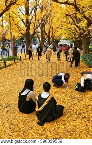 Tokyo, Japan - November 30, 2016: People Celebrate Ginkgo Avenue Autumn Foliage In Tokyo, Japan. Ich