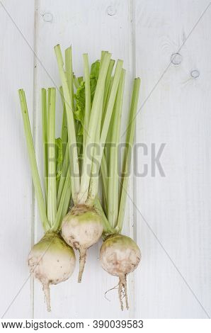 Fresh Sugar White Beet With Stems, Isolated On White Background