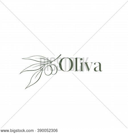 Oliva Logo. Vector Logo Template For Flower Shop Design, Natural Cosmetics, Beauty Salon, Wedding Sh