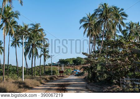 An Empty Dirt Road With Tall Palm Trees On A Hot Sunny Day With Clear Blue Sky North Of Chaung Thar 