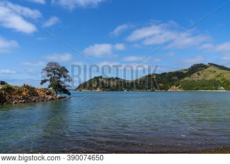 Scenic Man O War Bay And Surrounding Land With One Tree On Point On Waiheke Island New Zealand