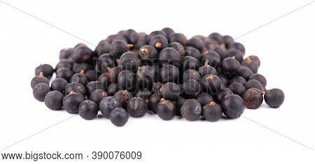 Dry Juniper Berries With Green Branch, Isolated On White Background. Common Juniper Fruits.