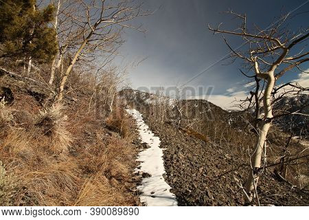 Snow on a hiking trail going up the sunny side of a mountain in Beartooth Mountains, Montana