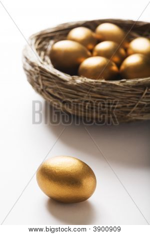 黄金の卵の巣