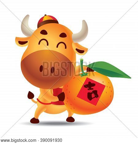 Chinese New Year 2021. Cartoon Cute Ox Carrying Big Mandarin Tangerine Orange With Chinese Letter. T
