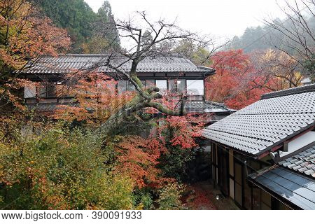 House Among The Autumn Tree, View Landscape Of Home And Forest Among Mountain Range.