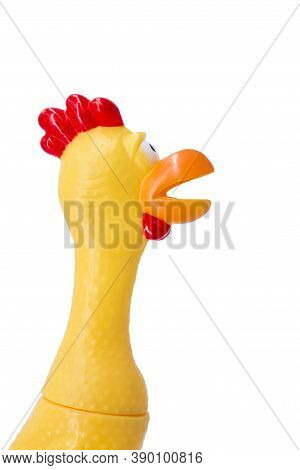 Squeaky Chicken Toy Isolated On A White Background. Rubber Toy Chicken On A White Background.
