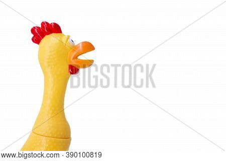 Squeaky Chicken Toy Isolated On A White Background. Rubber Toy Chicken On A White Background.