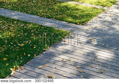 Colorful Fallen Autumn Leaves On Green Grass Field Or Lawn. Season, Nature, Autumn Card, Thanksgivin