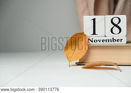 Twenty-eighth Day Of Autumn Month Calendar November With Copy Space.