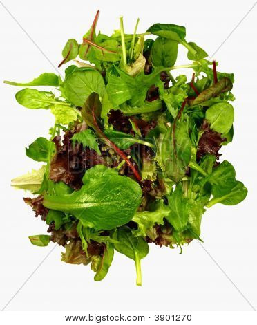 Isolerede blandet salat