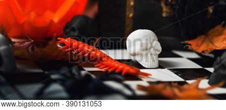 Halloween Party Set Up Props. White And Black Sculls With Jack Olantern Pumpkin. Death Symbol. Fear 