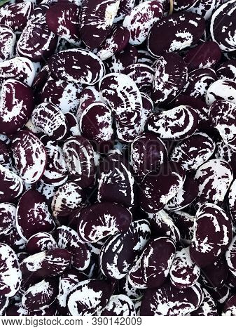 Background Of Purple And White Kidney Bean