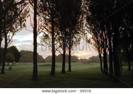 Golf Course At Dawn