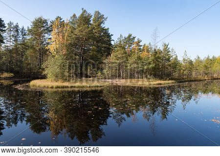 Territory Of Sestroretsk Swamp Reserve. Saint-petersburg. Russia