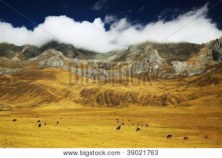 Cordiliera Huayhuash, Gennemlæsning, Sydamerika