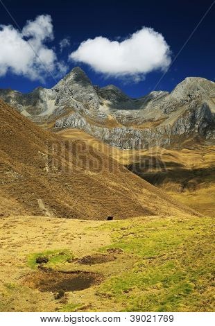 Cordiliera Huayhuash, Gennemlæsning, Sydamerika