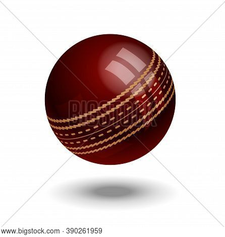 Cricket Ball Vector Illustration Isolated On White Background