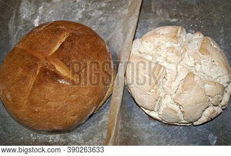 Comparison Of Regular Wheat Bread And Gluten-free Bread Made From Tapioca, Rice Flour And Corn Starc