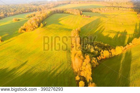 Aerial View Of Agricultural Green Field. Plowed Agricultural Field. Aerial View Autumn Field. Agricu