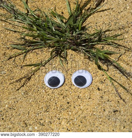 Crazy Googly Eyes - Creative Expression With Googly Eyes