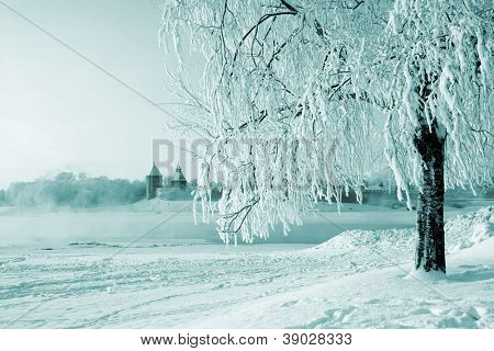   albero nella neve