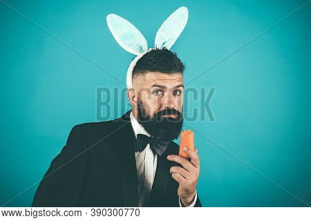 Funny Bunny Man On Easter Day. Happy Easter And Holiday. Nibbles A Carrot Like A Hare. Spring Holida