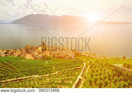 Scenic Landscape Of Lavaux Vineyard Terraces At Sunset And Lake Geneva Or Lake Leman. Lavaux, A Unes