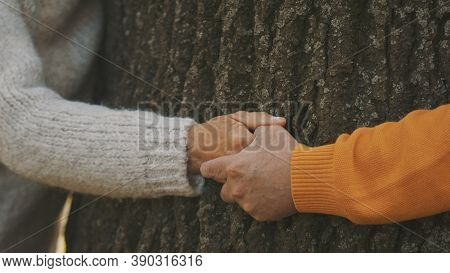Old Couple Having Romantic Autumn Day In Forest. Hugging Tree. Close Up On Wrinkled Hands. High Qual