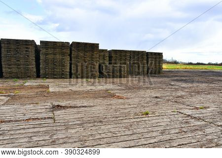 An Image Of Wooden Swamp Mats Used To Create Temporary Road Access And Preserve The Environment.