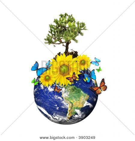 Terra con un albero e fiori isolati su sfondo bianco