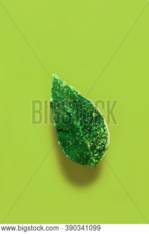 Green Leaf As Symbol Of All Nature On Soft Green Background. Earth Colors For Eco Friendly And Envir